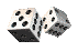 Characters and Assets
